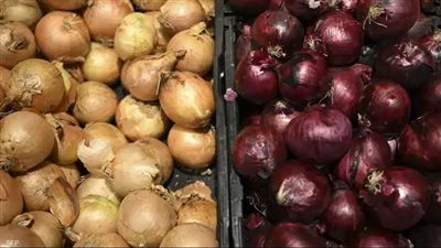 مفاجأة فى أسعار البصل اليوم الخميس والفرق بين لون البصل الأحمر والأبيض والأصفر