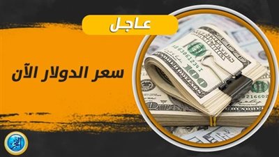 سعر الدولار اليوم في البنوك والسوق السوداء