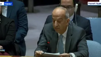 مندوب مصر لدى مجلس الأمن: قطاع غزة يشهد كارثة إنسانية مروعة