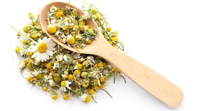 البابونج: النبات العجيب وفوائده الصحية 