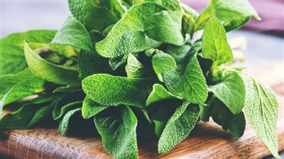 عشب المرمرية: النبتة العجيبة وفوائدها الصحية