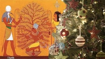 «بالأدلة الأثرية».. مؤرخ يفجر حقيقة صادمة: شجرة الكريسماس ليست مصرية (صور)