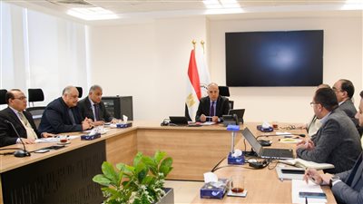 وزير الري يستعرض أعمال تطوير بحيرة المنزلة