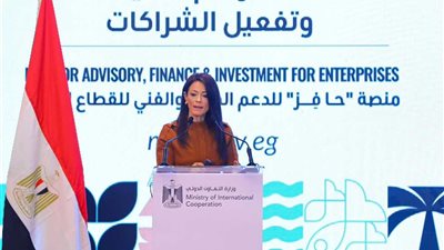 خبير يكشف أهمية منصة حافز لمساعدة القطاع الخاص والمستثمرين (فيديو)