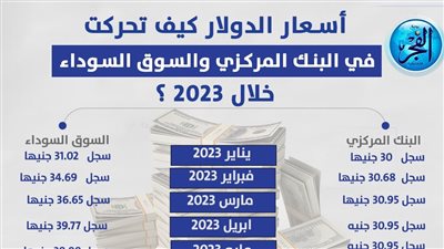 عاجل| كيف تحركت أسعار الدولار بالبنوك والسوق السوداء خلال 2023؟(انفوجراف)
