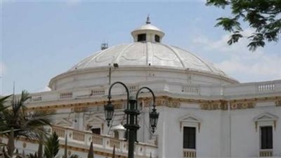 ماذا قدم مجلس النواب في المجال الدبلوماسي؟