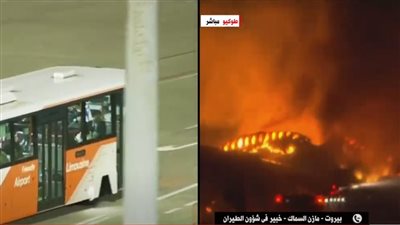 هل زلزال اليابان له علاقة بتفحم طائرة بمطار هانيدا؟.. خبير يوضح (فيديو)