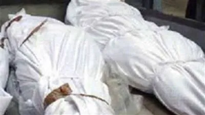ذبح بالرقبة وطعنات متفرقة.. تفاصيل مناظرة جثتي رجل وسيدة بالمعصرة
