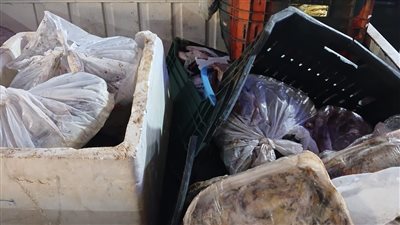 محافظ المنوفية: ضبط ما يقرب من 3 أطنان لحوم ودواجن وأسماك غير صالحة