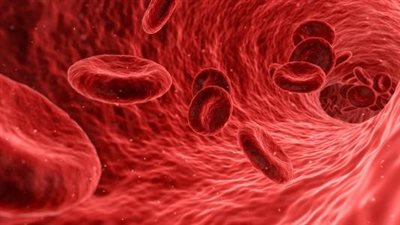 ما هي أمراض الدم؟.. إليكم الجواب