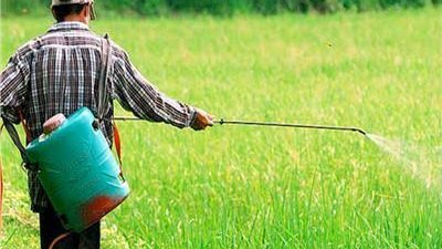 بسبب حالة الطقس.. الأرصاد تصدر تنويها بشأن المزارعين