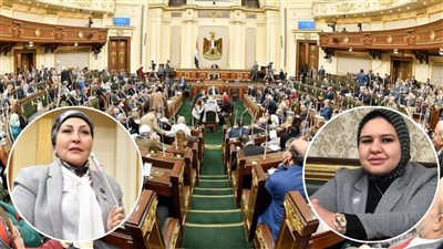 نائبات البرلمان تضعن روشتة لمواجهة ارتفاع الأسعار بالأسواق