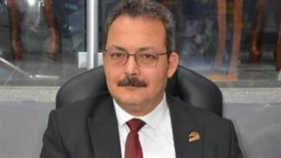 مقرر لجنة الاستثمار في الحوار الوطني يكشف أهم ملفات الاقتصاد بمصر (فيديو)