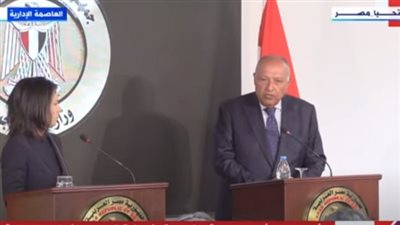 وزير الخارجية: استمرار الاحتلال من الأسباب الرئيسية لعدم الاستقرار في المنطقة