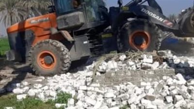 إزلة 13 حالة تعد على الأراضي الزراعية بمركز الواسطي ببني سويف 