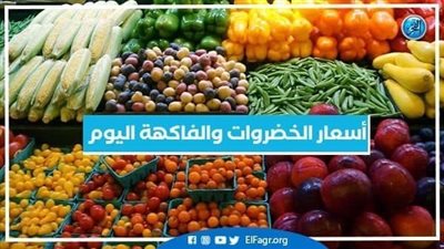 أسعار الفاكهة اليوم الخميس 11-1-2024 في الدقهلية