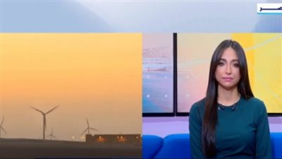 أستاذ دراسات بيئية يكشف تفاصيل 50 فرصة استثمار مناخية (فيديو)