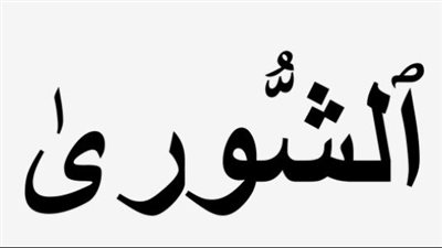 في خضم التفاصيل.. الفرق بين الشورى والديمقراطية