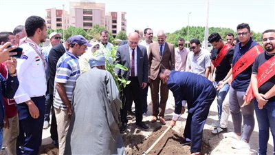 جامعة سوهاج تعلن عن زراعة ألف شجرة ضمن مبادرة 
