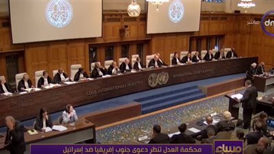 أستاذ قانون يكشف مصير قضية جنوب إفريقيا ضد إسرائيل (فيديو)