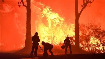 تصل للمؤبد.. ما عقوبة إشعال النيران عمدا فى المباني ومحصود الزرع