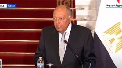 وزير الخارجية: وضع أهالي غزة مأساوي