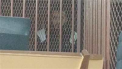 إحالة أوراق المتهم بقتل شقيقته العروس ببورسعيد لمفتي الديار المصرية