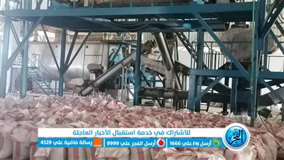 ضبط سكر معبأ ناقص الوزن في حملة للرقابة التموينية على الأسواق بالإسماعيلية