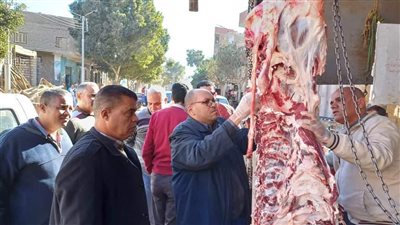 مصادرة 26 طن أرز و67 كيلو من اللحوم الفاسدة بالمنيا