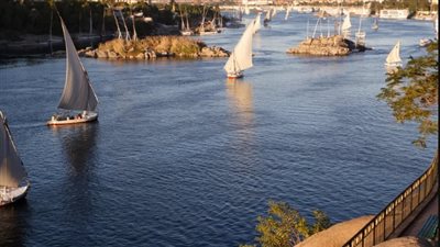 متحدث الري: دول حوض النيل تواجه تحدي توفير مياه الشرب النقية للمواطنين