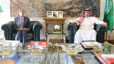 نائب وزير الخارجية يستقبل سفير جمهورية فيتنام الاشتراكية لدى المملكة