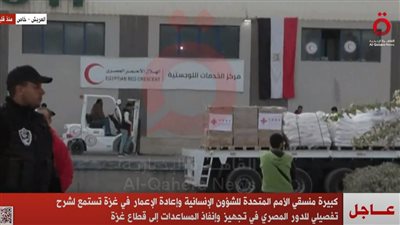 عاجل| كبيرة منسقي الأمم المتحدة تستعرض الدور المصري في إنفاذ المساعدات لغزة