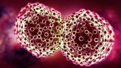 في اليوم العالمي له.. ما هو السرطان؟