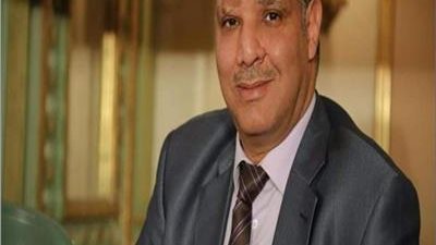 أستاذ علم اجتماع: القيادة السياسية تدعم الاستقرار في الدول الإفريقية والعربية