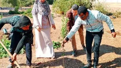 استمرار حملات التشجير وزراعة شتلات بمركز البدارى بأسيوط