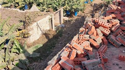 إزالة ٣٠ حالة تعد بالبناء المخالف على الأراضي الزراعية وأملاك الدولة بالجيزة