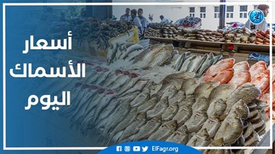 أسعار الأسماك اليوم الأحد 21-1-2024 في الدقهلية