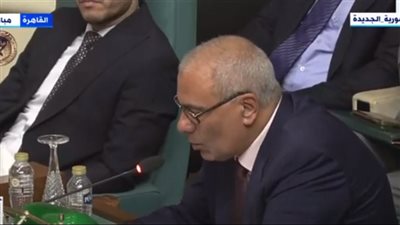 مندوب مصر بالجامعة العربية عن افتراءات إسرائيل بمحكمة العدل: لا يصدقها أحد