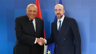 عاجل| شكري يؤكد لرئيس المجلس الأوروبي حتمية إيجاد مسار سياسي لتسوية القضية الفلسطينية 