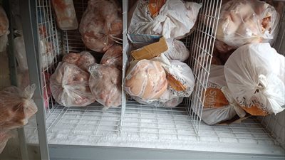 تعرف على نتائج الحملات التموينية للإدارات الفرعية في الإسكندرية