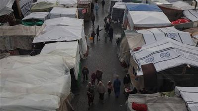 هولندا وفنلندا تعلقان مؤقتا دعمهما المالي للأونروا