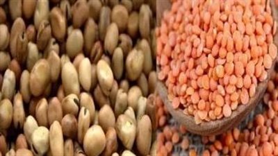 صدمة بشأن سندوتش الفول الفترة المقبلة.. المجلس التصديري للحاصلات يكشف القادم