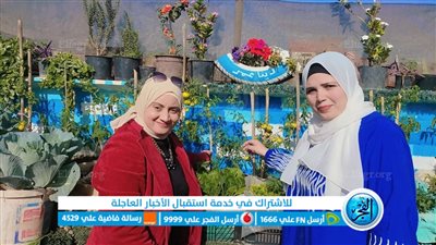 سيدة بالمنوفية تحول سطح منزلها لحقل خضروات وتستغني عن التسوق (صور)