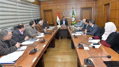 محافظ الدقهلية يستعرض أوضاع المناطق الصناعية بجمصة والعصافرة 