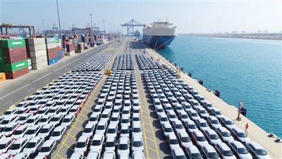 برلماني يكشف تفاصيل مقترح بوقف استيراد السيارات الجديدة لتوفير الدولار