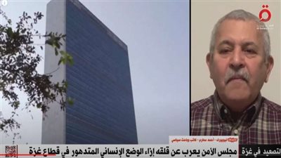 باحث سياسي: نتوقع صدور قرارا من مجلس الأمن بوقف إطلاق النار بغزة اليوم