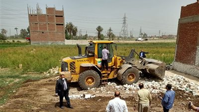 الحبس 7 سنوات وغرامة تصل لمليوني جنيه.. عقوبة التعدي على الأراضي الزراعية بقانون العقوبات