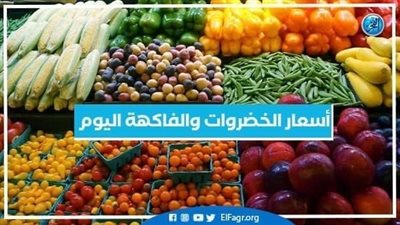 أسعار الخضراوات والفاكهة اليوم 1-2-2024 في الأقصر