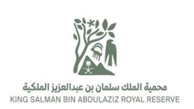 محمية الملك سلمان بن عبدالعزيز الملكية تضبط 9 مركبات و25 شخصًا مخالفًا في محمية حرة الحرة