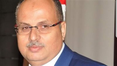 الاتحاد العالمي للمواطن المصري بالخارج يرفض مقترح 